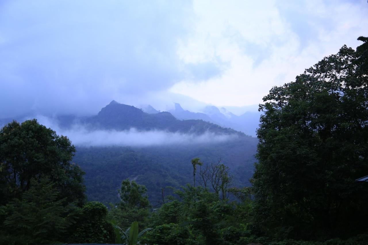 Sattva-The Awakening Garden Hotel Kakkadampoyil Luaran gambar